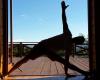images/photos12/mandala5.jpg